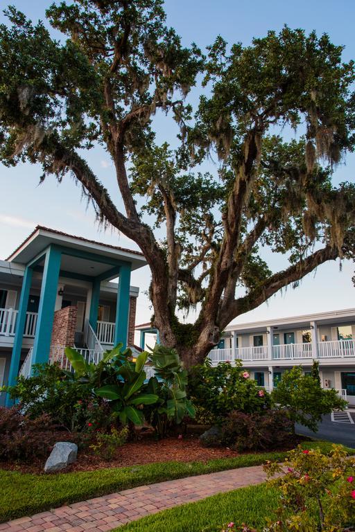 Southern Oaks Inn - Saint Augustine Dış mekan fotoğraf