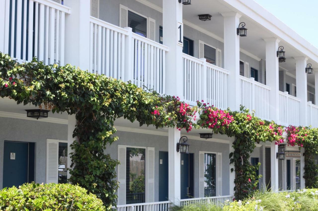 Southern Oaks Inn - Saint Augustine Dış mekan fotoğraf